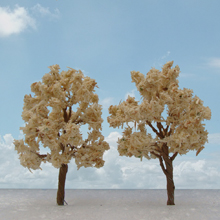 model trees
